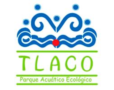 Imagen 7